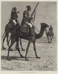 Das Kamelkorps der ägyptischen Armee